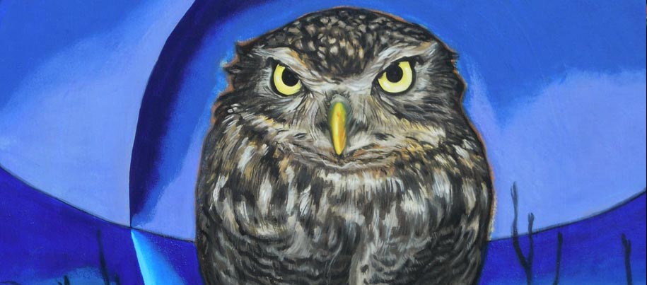 <strong>La Civetta</strong> - acrilico su tavola - cm 50x70